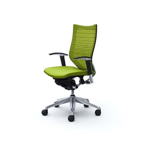 ?I?J???? ?I?t?B?X?`?F?A ???????@?g???s?v ?o???? ?O???f?[?V?????T?|?[?g???b?V???^?C?v ?A?W???X?g?A?[?? ?n?C?o?b?N(?|???b?V???t???[??) ?{?f?B(?u???b?N) CP85BR-FGR5