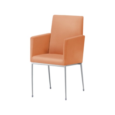 NI ~[eBO`FAEړI`FA @gsv GNZh It t[J[(Vo[) nFB I[}CeB[(rj[U[) Exedra-CXA-MSL-B-L8687