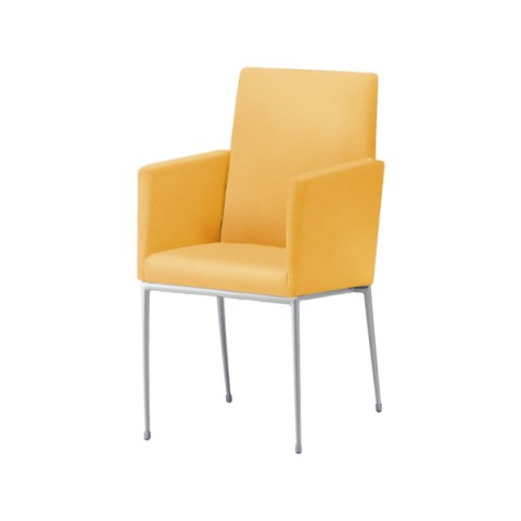 NI ~[eBO`FAEړI`FA @gsv GNZh It t[J[(Vo[) nFB I[}CeB[(rj[U[) Exedra-CXA-MSL-B-L8730