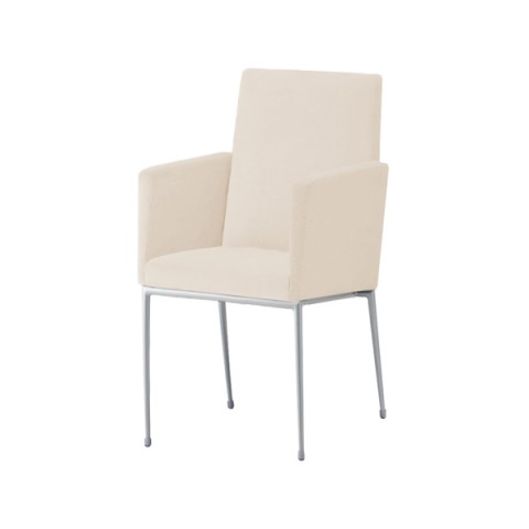 NI ~[eBO`FAEړI`FA @gsv GNZh It t[J[(Vo[) nFC }jG(rj[U[) Exedra-CXA-MSL-C-L8246