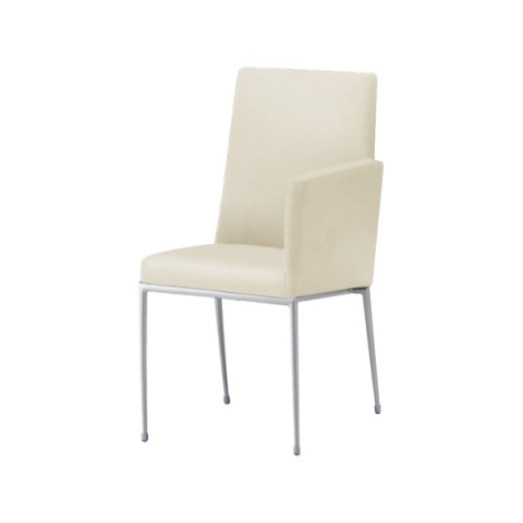 NI ~[eBO`FAEړI`FA @gsv GNZh It t[J[(Vo[) nFA vUg(rj[U[) Exedra-CXLA-MSL-A-PL50