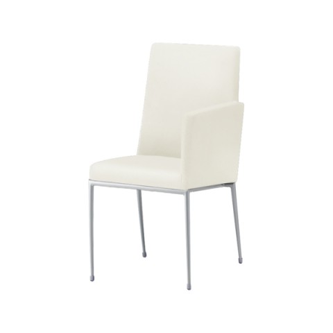 NI ~[eBO`FAEړI`FA @gsv GNZh It t[J[(Vo[) nFB I[}CeB[(rj[U[) Exedra-CXLA-MSL-B-L8640