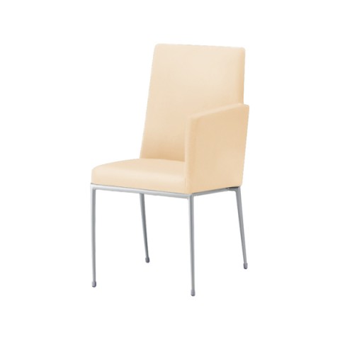 NI ~[eBO`FAEړI`FA @gsv GNZh It t[J[(Vo[) nFB I[}CeB[(rj[U[) Exedra-CXLA-MSL-B-L8658