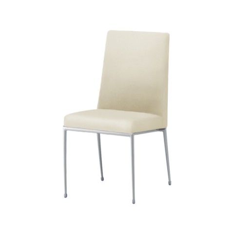 NI ~[eBO`FAEړI`FA @gsv GNZh IȂ t[J[(Vo[) nFA vUg(rj[U[) Exedra-CX-MSL-A-PL50