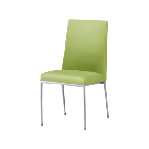 NI ~[eBO`FAEړI`FA @gsv GNZh IȂ t[J[(Vo[) nFA vUg(rj[U[) Exedra-CX-MSL-A-PL70