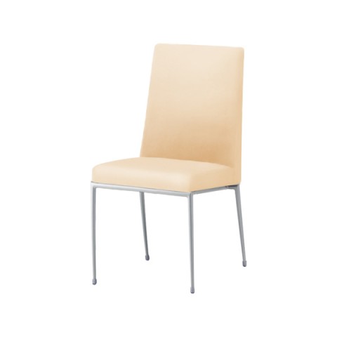 NI ~[eBO`FAEړI`FA @gsv GNZh IȂ t[J[(Vo[) nFB I[}CeB[(rj[U[) Exedra-CX-MSL-B-L8658