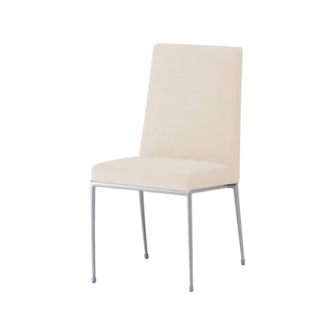 NI ~[eBO`FAEړI`FA @gsv GNZh IȂ t[J[(Vo[) nFC }jG(rj[U[) Exedra-CX-MSL-C-L8246