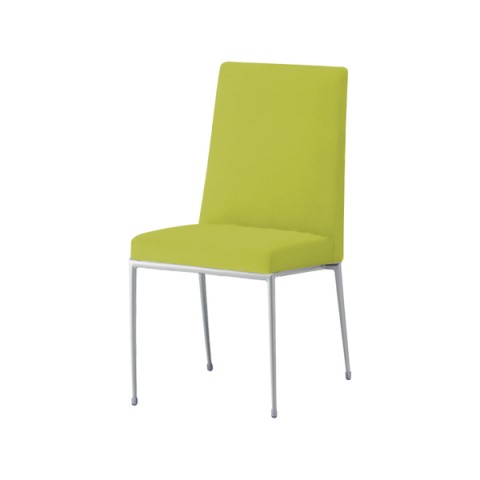 NI ~[eBO`FAEړI`FA @gsv GNZh IȂ t[J[(Vo[) nFD N.C.(z) Exedra-CX-MSL-D-NC031