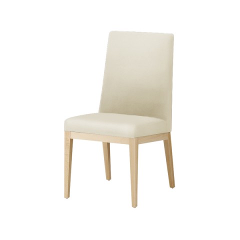 NI ~[eBO`FAEړI`FA @gsv GNZh IȂ t[J[(i`) nFA vUg(rj[U[) Exedra-CX-N-A-PL50