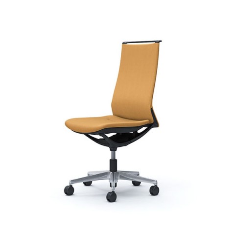 IJ ItBX`FA @gsv [h 5{r^NbV^Cv nCobN IȂ t[() {fBJ[(ubN) NX(~bNX) CA17BR-FWM6