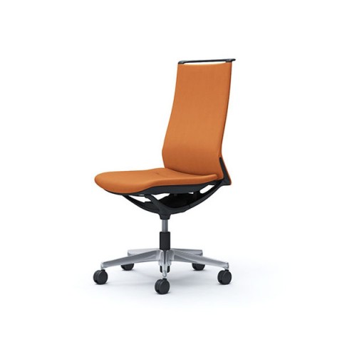 IJ ItBX`FA @gsv [h 5{r^NbV^Cv nCobN IȂ t[() {fBJ[(ubN) NX(~bNX) CA17BR-FWM8