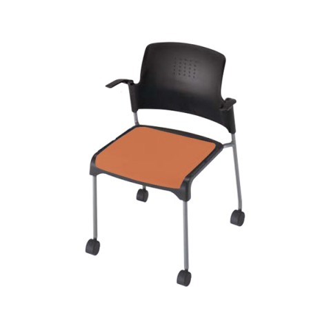 ?i?C?L ?~?[?e?B???O?`?F?A?E????I?`?F?A ???????@?g???s?v E24 ?w?J?o?[???(4?{?r?E?L???X?^?[?t?^?C?v) E244C-OR