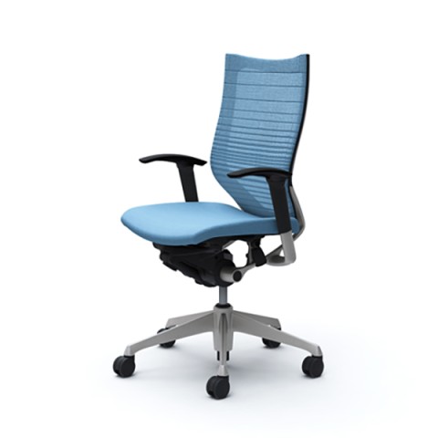 IJ ItBX`FA @gsv o Of[VT|[gbV^Cv AWXgA[ nCobN(Vo[t[) {fB(ubN) CP85DR-FGR4