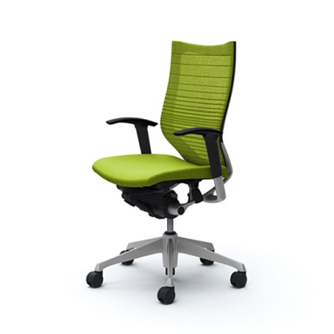 IJ ItBX`FA @gsv o Of[VT|[gbV^Cv AWXgA[ nCobN(Vo[t[) {fB(ubN) CP85DR-FGR5