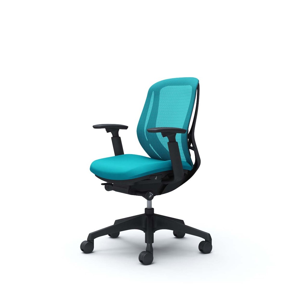 オカムラ オフィスチェア 完成日 組立不要 シルフィー ローバック メッシュタイプ アジャストアーム付 ブラックボディ 樹脂脚 ナイロンキャスター C681XR-FMR6