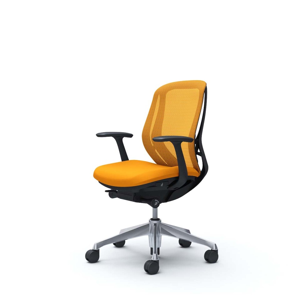 IJ ItBX`FA @gsv VtB[ [obN bV^Cv fUCA[t ubN{fB A~|bVr iCLX^[ C641BR-FMR8