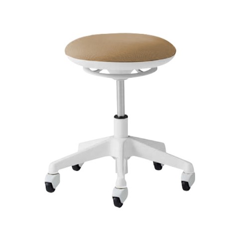 ?I?J???? ?~?[?e?B???O?`?F?A?E????I?`?F?A ???????@?g???s?v ?s???G?b?g ?w????^?C?v?@5?{?r?X?c?[???^?C?v?@?S???L???X?^?[?E?z???C?g?r?@?z?FPET???T?C?N?? L890SG-FSF7