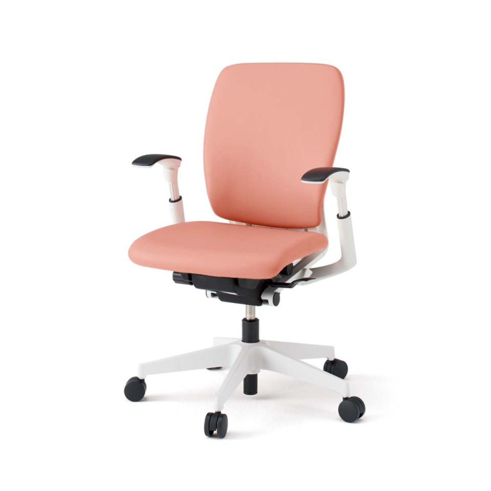 Cg[L ItBX`FA @gsv tS`FA nCobN x[XJ[WW AWX^uI nK[Ȃ rj[U[(DL) iCLX^[ KF-437DL-WWM6