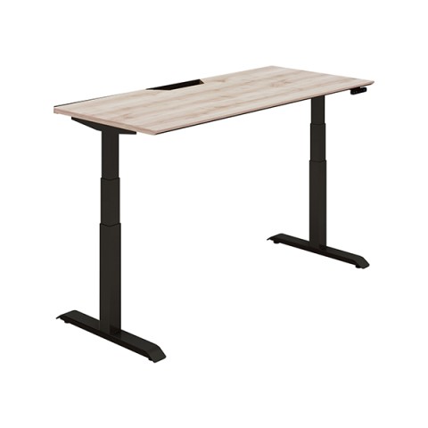 RN ItBXfXN @gsv V[NGX X^_[he[u nCO[hJ[ MGbW@{^ DSE-LSF1607M-6AY03