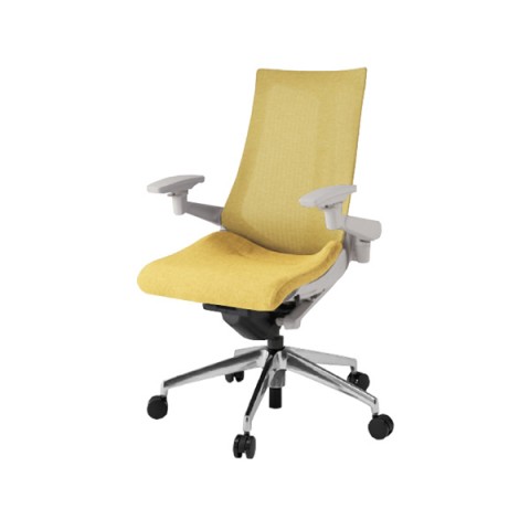 イトーキ オフィスチェア 完成日 組立不要 アクトチェア テクスチャードメッシュバック ハイバック アルミミラー脚 ナイロン双輪キャスター ランバーサポート付 ハンガーなし アジャスタブル肘 KG-457JE1ZNU6