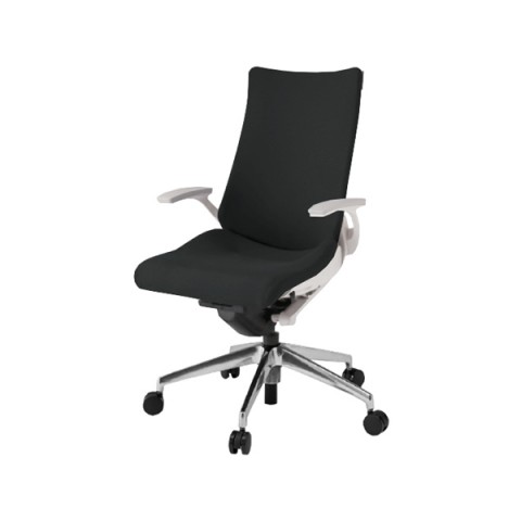 イトーキ オフィスチェア 完成日 組立不要 アクトチェア プレーンクロスバック ハイバック アルミミラー脚 ナイロン双輪キャスター ランバーサポート付 ハンガー付 T型肘 ベースカラーZW KG-415PSH-ZWT1