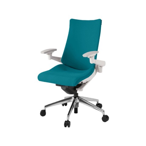 イトーキ オフィスチェア 完成日 組立不要 アクトチェア プレーンクロスバック ハイバック アルミミラー脚 抵抗付ウレタン双輪キャスター ランバーサポート付 ハンガーなし アジャスタブル肘 ベースカラーZW KG-417PSM-ZWA3