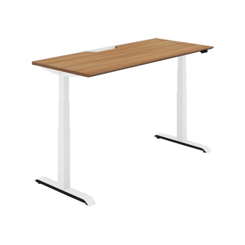 RN ItBXfXN @gsv V[NGX X^_[he[u X^_[hJ[ MGbW@tXybNo[ DSE-LSF1607F-SWP22