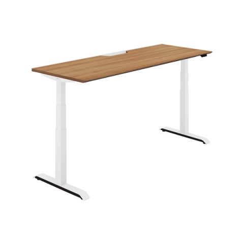 RN ItBXfXN @gsv V[NGX X^_[he[u X^_[hJ[ MGbW@tXybNo[ DSE-LSF1807F-SWP22