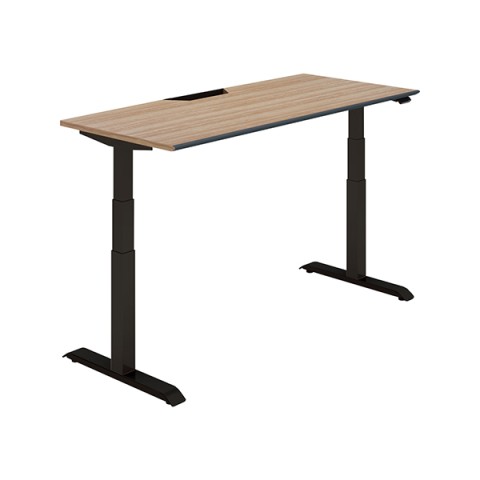 RN ItBXfXN @gsv V[NGX X^_[he[u nCO[hJ[ \tgGbW@x[VbNo[ DSE-LSA1607B-6AW33