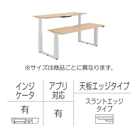 オカムラ オフィスデスク 完成日 組立不要 プリシード 上下昇降デスク ベンチタイプ アプリ有 レバータイプ/インジケーター有 スラントエッジ 塗装脚 3H21VT-MY32