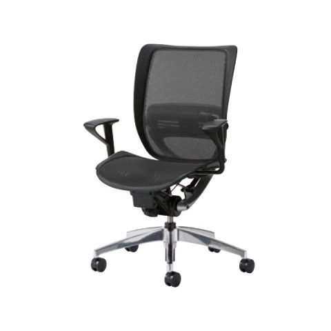 ?g???X?`?[?? ?I?t?B?X?`?F?A  SFRE?`?F?A ?A???~?r?V???[?Y?@?X?^???_?[?h?^?C?v?@?????b?V???i?w?E?????F?j?@???I SFRE-A95RB 44-0965-1