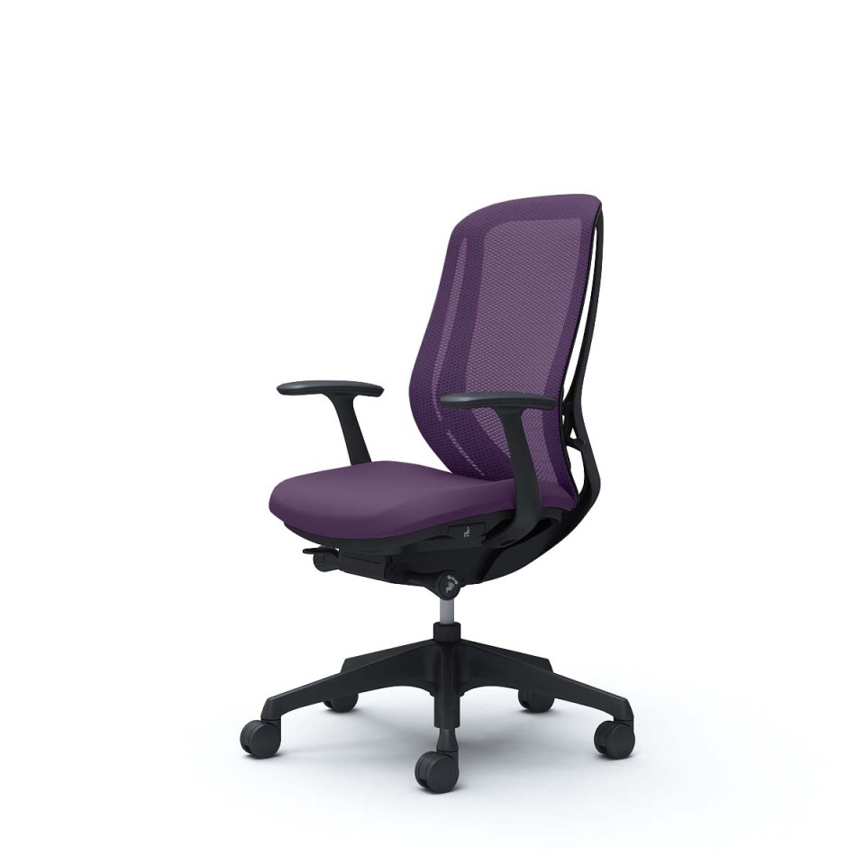 IJ ItBX`FA @gsv VtB[ nCobN bV^Cv fUCA[t ubN{fB r E^LX^[ C645ZR-FMP0