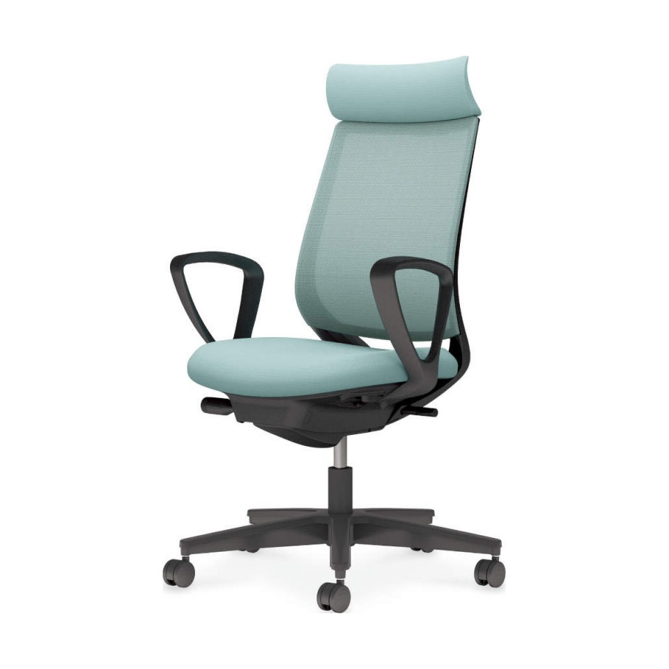 RN ItBX`FA @gsv ~g 2 bV^Cv AfBViobN ubNr T[NI ubN iCLX^[ C04-B350MW-BK39391