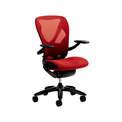 ?C?i?o ?I?t?B?X?`?F?A ???????@?g???s?v ?G?N?Z?A ?I?t?^?C?v ?t???[???F?X?p?[?N?????O?u???b?N XAIR 115 SS1115