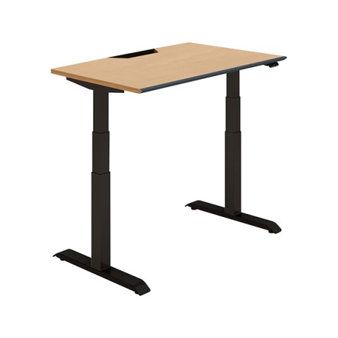 RN ItBXfXN @gsv V[NGX X^_[he[u nCO[hJ[ \tgGbW@tXybNo[ DSE-LSA1207F-6AP13