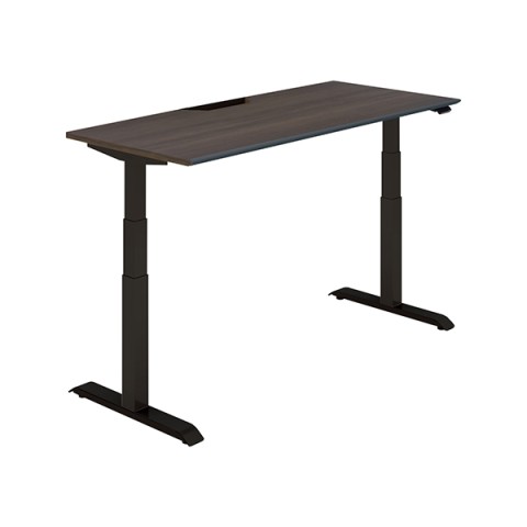 RN ItBXfXN @gsv V[NGX X^_[he[u nCO[hJ[ \tgGbW@x[VbNo[ DSE-LSA1607B-6AG83