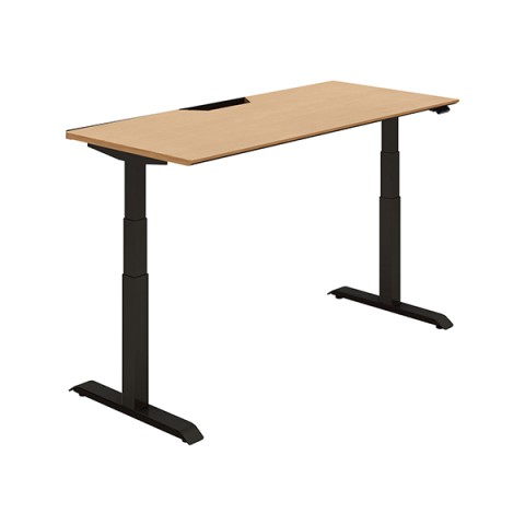 RN ItBXfXN @gsv V[NGX X^_[he[u nCO[hJ[ MGbW@x[VbNo[ DSE-LSF1607B-6AP13