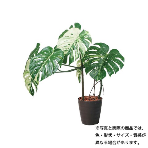 |s[ ItBXANZT @gsv O[|bg 110cm@Xe|bg GLAS-1548 BRL