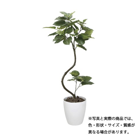 |s[ ItBXANZT @gsv O[|bg CeAEx[^@1.65m GLPA-048