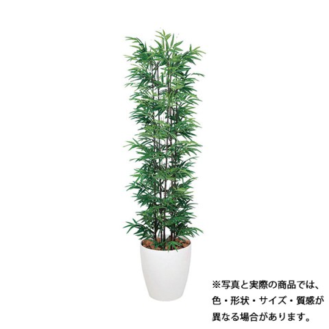 ?|?s?[ ?I?t?B?X?A?N?Z?T?? ???????@?g???s?v ?O???[???|?b?g ???|?@1.8m GLPA-067