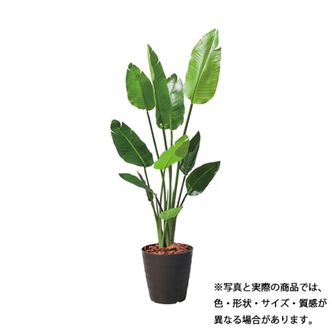 |s[ ItBXANZT @gsv O[|bg 120cm@I[KX^ GLPS-1520 BRL