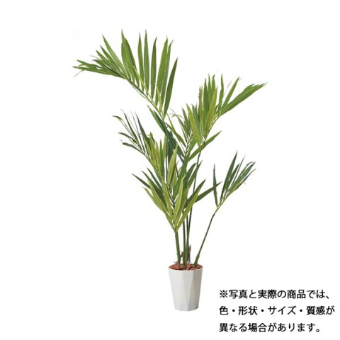 ポピー オフィスアクセサリ 完成日 組立不要 グリーンポット 150cm ケンチャヤシポット GLPS-1528 PWL