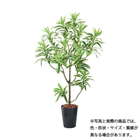 ?|?s?[ ?I?t?B?X?A?N?Z?T?? ???????@?g???s?v ?O???[???|?b?g 115cm?@?h???Z?i?C???f?B?A GLPS-1536 BKL