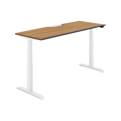 RN ItBXfXN @gsv V[NGX X^_[he[u X^_[hJ[ \tgGbW@tXybNo[ DSE-LSA1807F-SWP22