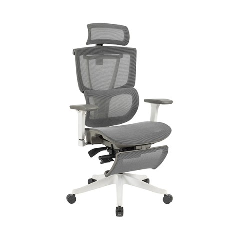 FlexiSpot ItBX`FA @gsv C7  C7-Pro-O[