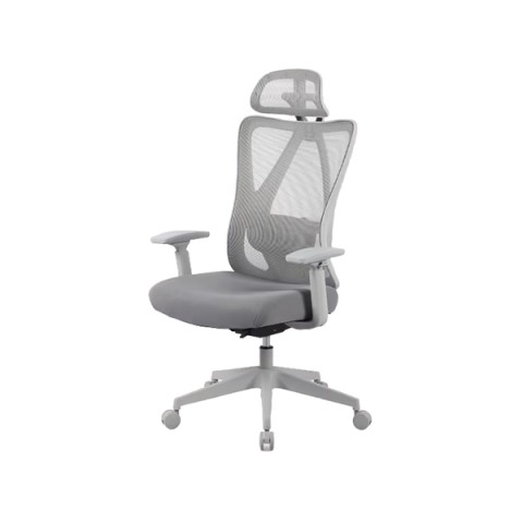 FlexiSpot ItBX`FA @gsv C5  C5-O[