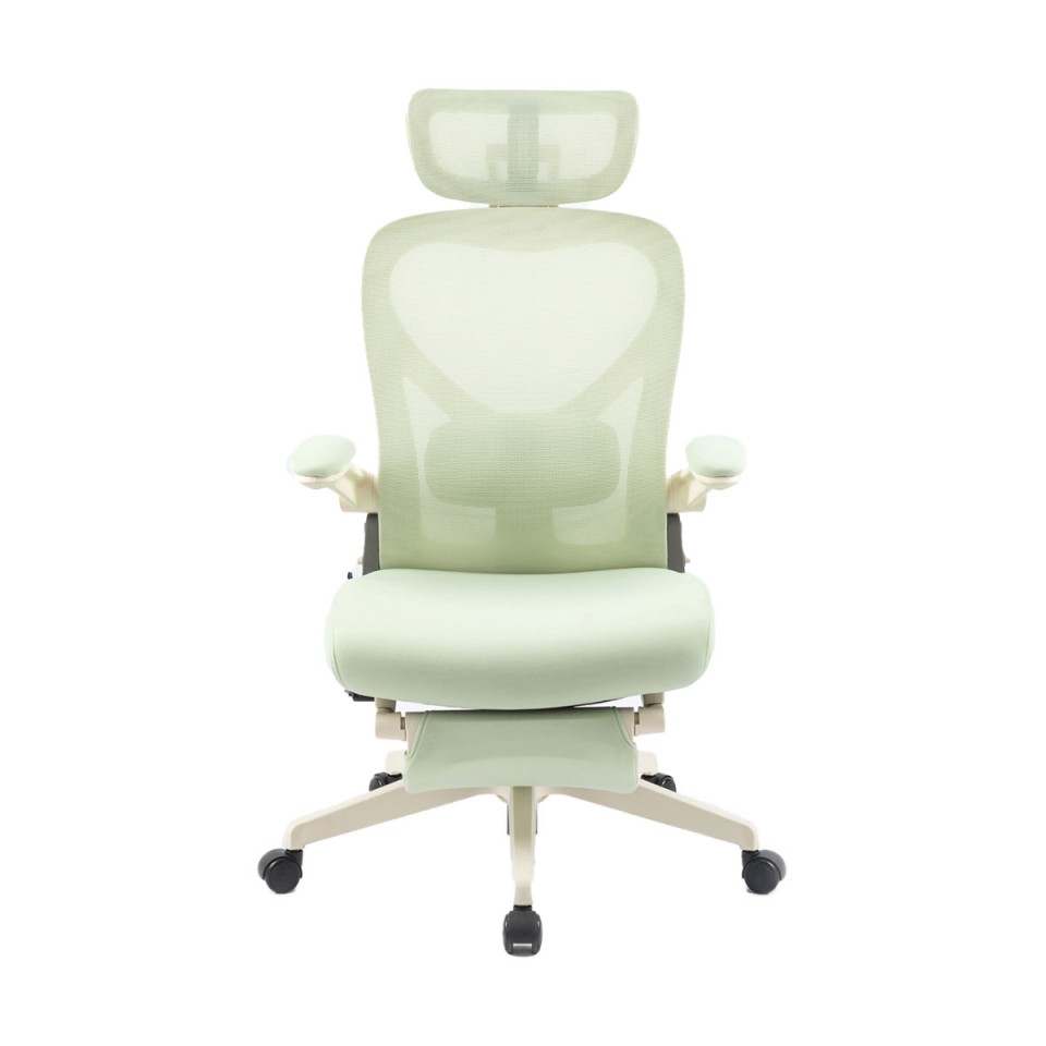 FlexiSpot ItBX`FA  FC8 ܂肽ݎIbg}t`FA FC8-O[
