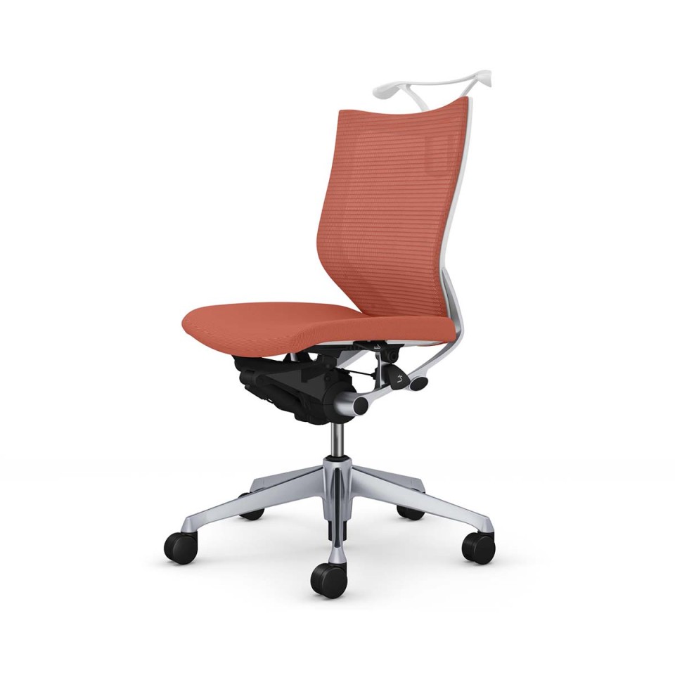 IJ ItBX`FA @gsv o X^_[hbV^Cv [obN Vo[t[ {fB(zCg) (NbV) IȂ nK[t CP34DW-FPD8