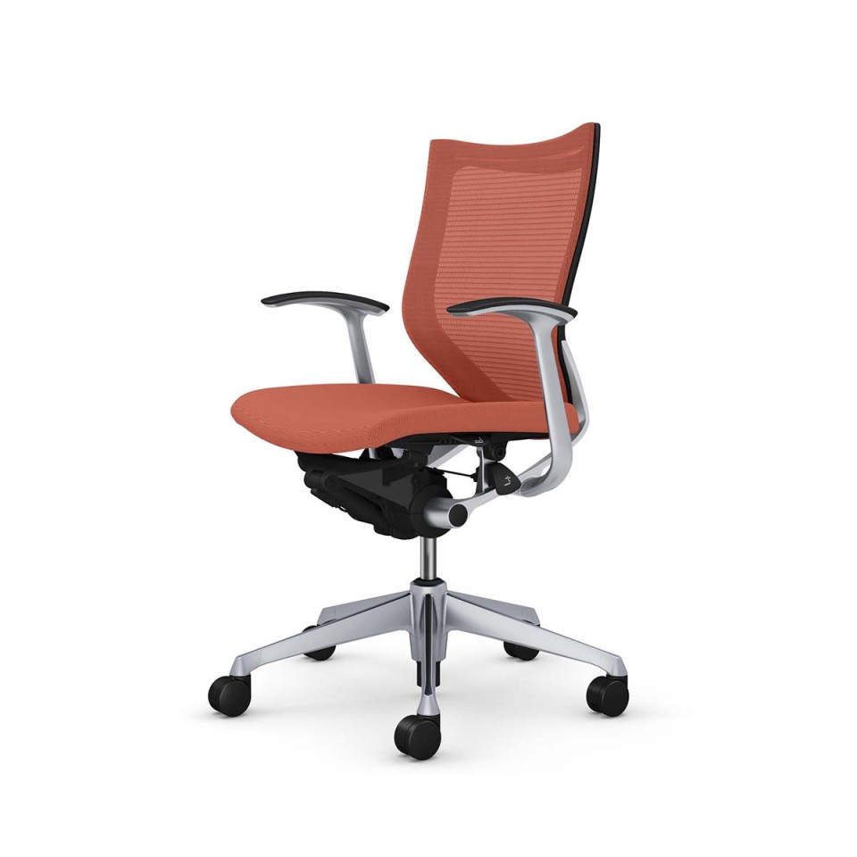 IJ ItBX`FA @gsv o X^_[hbV^Cv [obN Vo[t[ {fB(ubN) (NbV) fUCA[t CP43DR-FPD8