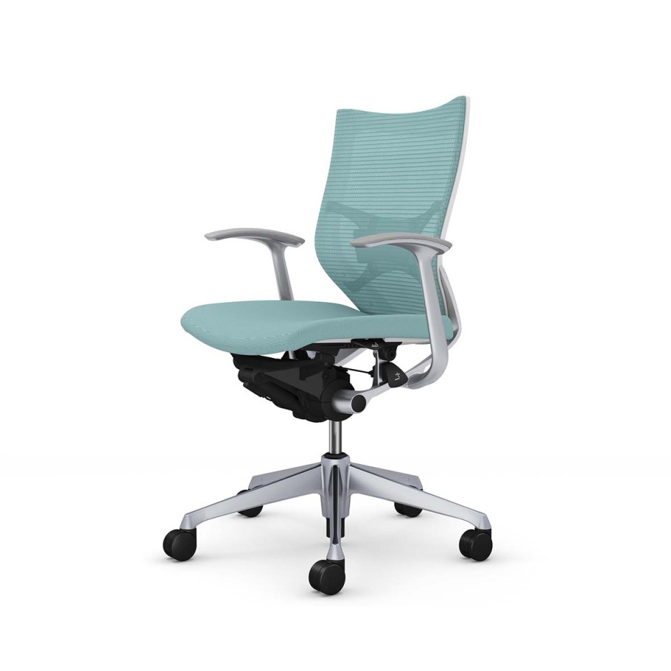 ?I?J???? ?I?t?B?X?`?F?A ???????@?g???s?v ?o???? ?X?^???_?[?h???b?V???^?C?v ???[?o?b?N ?V???o?[?t???[?? ?{?f?B(?z???C?g) ??(?N?b?V????) ?f?U?C???A?[???t ?????o?[?T?|?[?g?t CP43DZ-FPC6